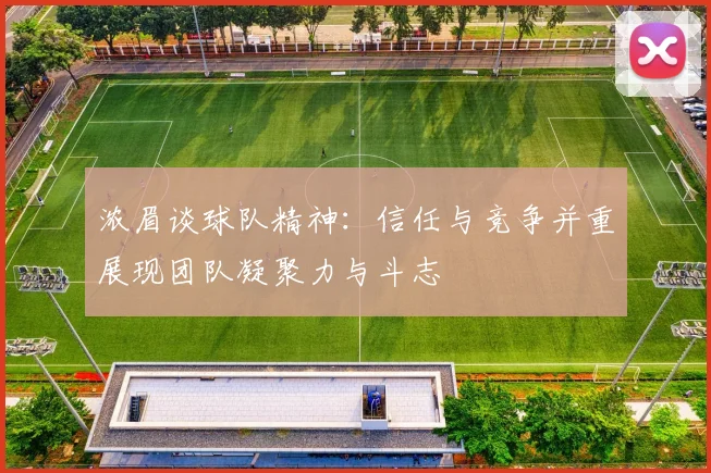 浓眉谈球队精神：信任与竞争并重展现团队凝聚力与斗志