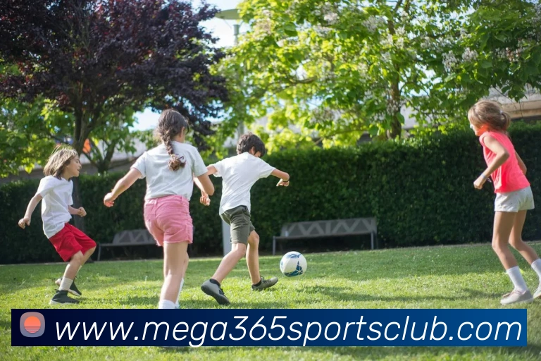 App Interface Preview