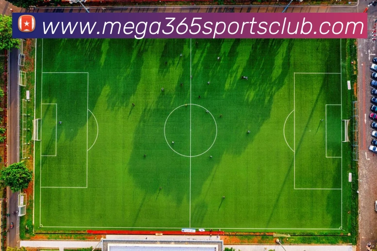 mega体育APP 封面图